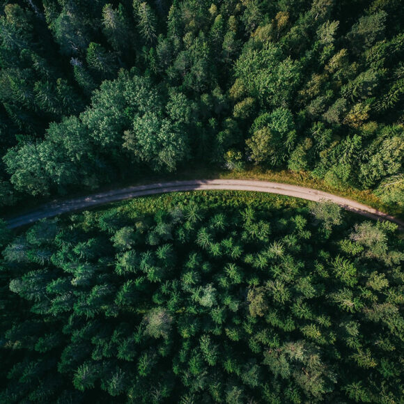 Metsän halki kulkeva tie korkealta ilmasta kuvattuna.