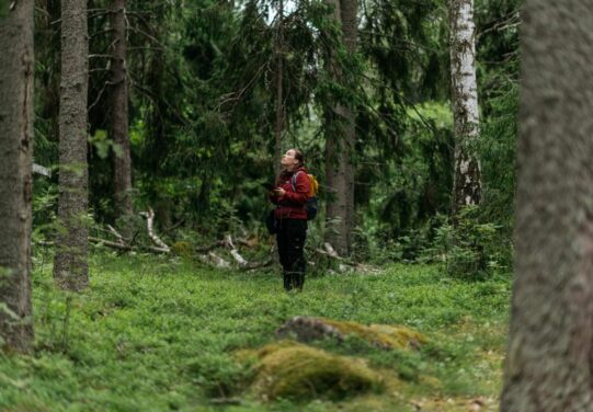 Ma­ria Mur­to Envineer Oy:stä oli yksi kol­mes­ta Ol­ki­luo­don bio­di­ver­si­teet­ti­tut­ki­muk­sen tut­ki­jas­ta. Kuva: Tapani Karjanlahti / TVO